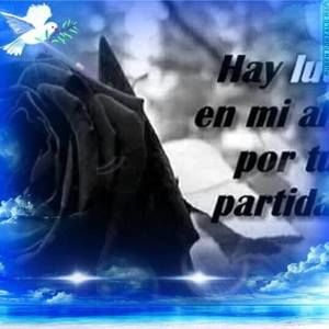 Meet your Posher, Rosa